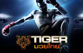 tiger boxing jpg